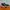 Under Armour Sportswear Casual Sneakers Pria green orange photo 1