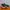 Under Armour Sportswear Casual Sneakers Pria Green Orange