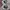 Fila Sportswear Casual Sneakers Pria white cream photo 6