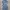 Stelan blazer wanita biru / blazer bkk / set blazer wanita photo 1