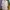 Outer 3/4 photo 1