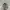 Minimalist Casual Shoulder bag Wanita white photo 5