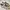 Adidas superstar  photo 1