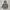 ADIDAS half button hoodie - unisex (kids 3-4 yrs) photo 2