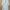 Polo Shirt Uniqlo Dry-Ex Natural Original XL photo 1