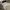 Celana guess photo 5