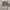Celana guess photo 1