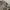 Celana guess photo 2