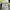 Borussia Dortmund Puma 2012/2013 Home Jersey photo 7