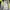 Borussia Dortmund Puma 2012/2013 Home Jersey photo 6