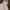 Under Armour Casual Hoody Pria gray photo 3
