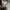 Galerie Vie Floral Pattern Baggy Pants photo 6