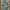 Galerie Vie Floral Pattern Baggy Pants photo 8
