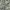 Galerie Vie Floral Pattern Baggy Pants photo 4