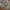 Galerie Vie Floral Pattern Baggy Pants photo 3