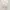 Liz lisa cinderella flower dress in white photo 1
