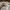 Reebok Streetwear Sweater Pria gray photo 4