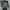 Rok celana olah raga  photo 1
