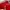 Adidas Sportswear Jersey Pria white red photo 4
