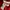 Adidas Sportswear Jersey Pria white red photo 7