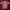 Jersey BAYER MUNCHEN 2010 adidas photo 1