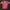 Jersey BAYER MUNCHEN 2010 Adidas