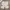 Casual Short Pria white photo 1