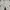Casual Short Pria white photo 4