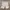 Casual Short Pria white photo 2