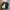 Pizza One Eye Coat Jacket by United sport Headline photo 4