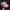 Sepatu gemes sepatu wanita pinky photo 3