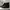 Dr. Martens 10064 black smooth photo 1