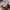 Nike Jordan Proto-React White
Size 42 photo 4