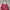Thrift Bag Merah  photo 2