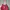 Thrift Bag Merah 