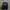 Crewneck Oversize Black Insurgent