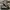 GUCCI BEIGE BLACK GG CANVAS HIGH TOP SNEAKERS , GUCCI BEIGE  photo 3