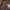 ⋆˚ 𝜗𝜚˚⋆ Brown Top ⋆˚ 𝜗𝜚˚⋆ photo 2