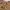 ⋆˚ 𝜗𝜚˚⋆ Brown Top ⋆˚ 𝜗𝜚˚⋆ photo 3