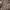 ⋆˚ 𝜗𝜚˚⋆ Polka Brown Top ⋆˚ 𝜗𝜚˚⋆ photo 2