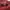STRADIVARIUS Sunglasses photo 1