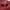 STRADIVARIUS Sunglasses