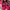 ADORABLEPROJECTS - Baleva Falt red shoes photo 1