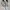 EVERBEST Alecta heels Beige photo 1