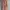 Dress dusty pink photo 1