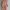 Dress dusty pink photo 4