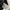 Nike Sportswear Sweatshirt Pria black photo 4