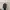 Zara long knit tunic turtle neck photo 1