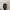 Zara Long Knit Tunic Turtle Neck