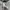 Adidas Sportswear Jersey Pria white black photo 2